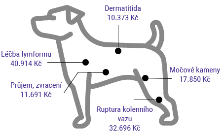 Obrázek nemocného psa